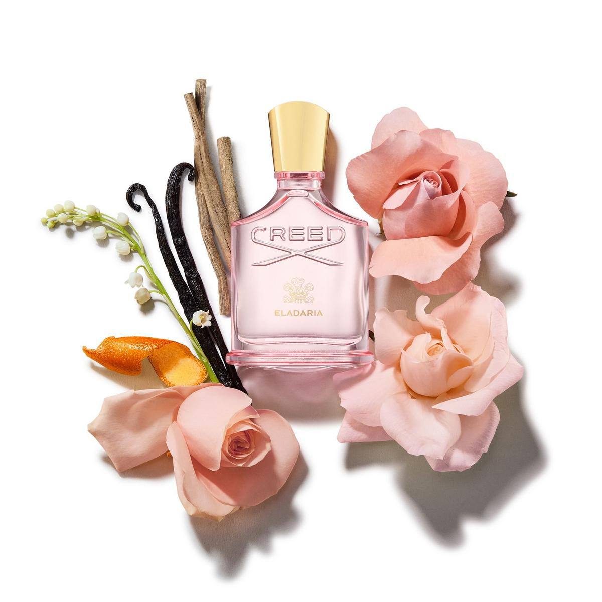 Master Perfumes
50 dhs❤️

Zain01
♥️♥️♥️