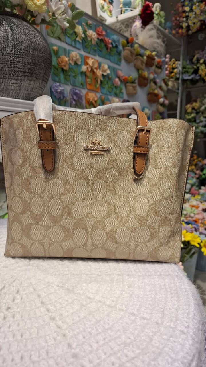 COACH MOLLY 25
25cm
110 dhs💓 

With box
🎁🎁🎁

Zain44
♥️♥️♥️