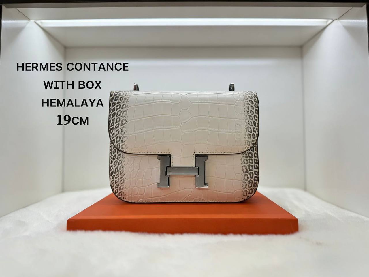 Hermes
ʜᴇʀᴍᴇs ᴄᴏɴsᴛᴀɴᴄᴇ 
ᴡɪᴛʜ ʙᴏx
🎁🎁🎁

ᴄʀᴏᴄᴏᴅɪʟᴇ ᴅᴇsɪɢɴ 
sɪᴢᴇ:19ᴄᴍ
100 dhs✅

Zain56
♥️♥️♥️