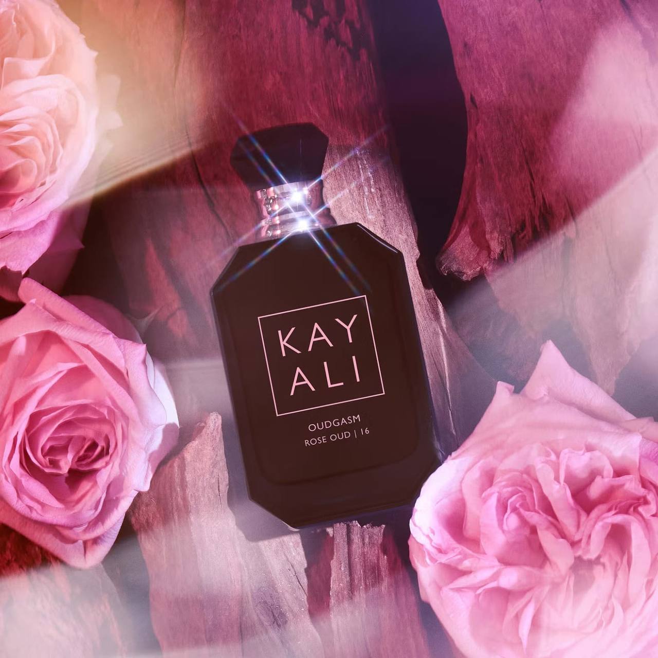 Kay Ali
50 dhs🇦🇪

Zain01
♥️♥️♥️