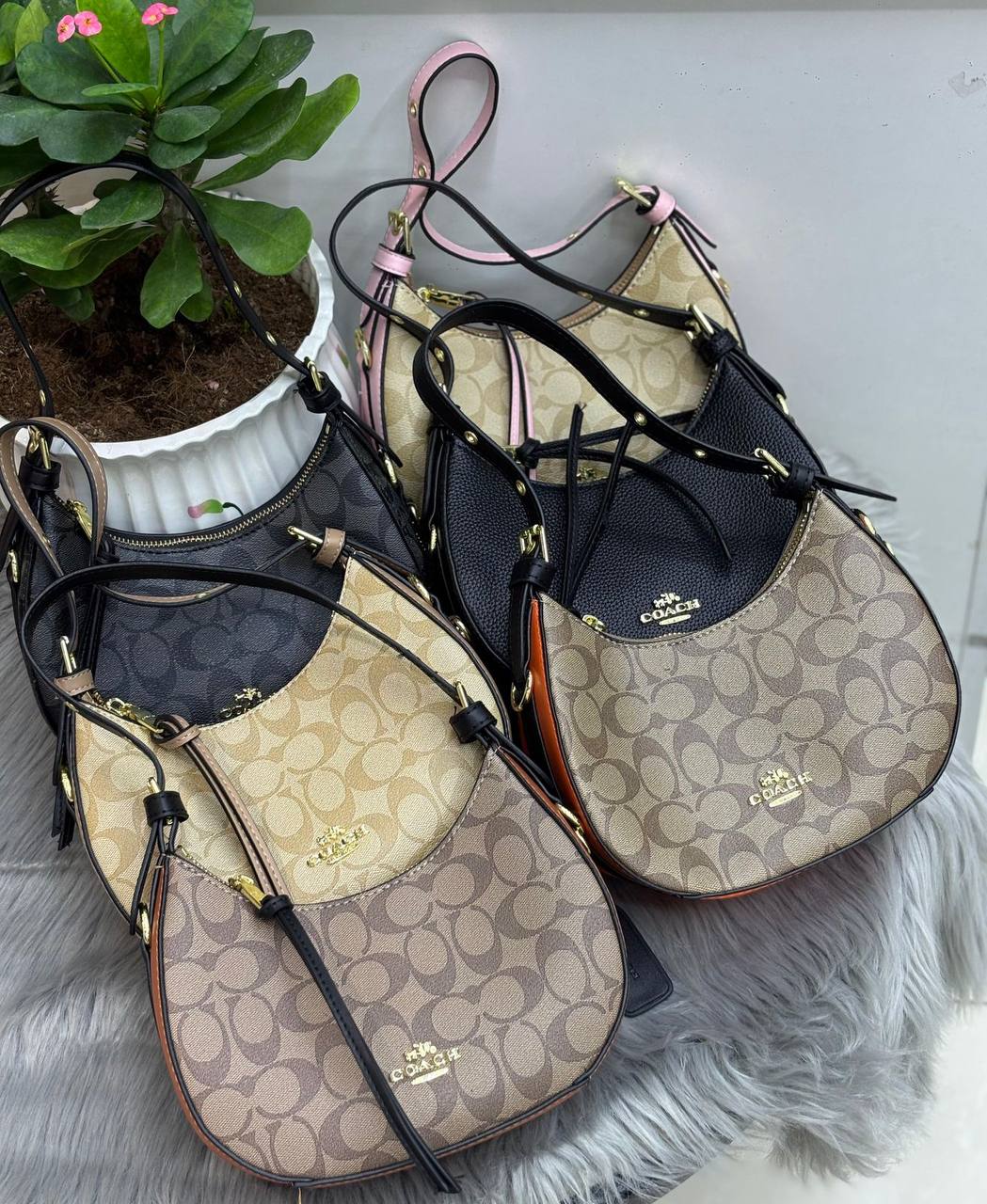 Coach
90 dhs🪙🌨️

Zain244
♥️♥️♥️