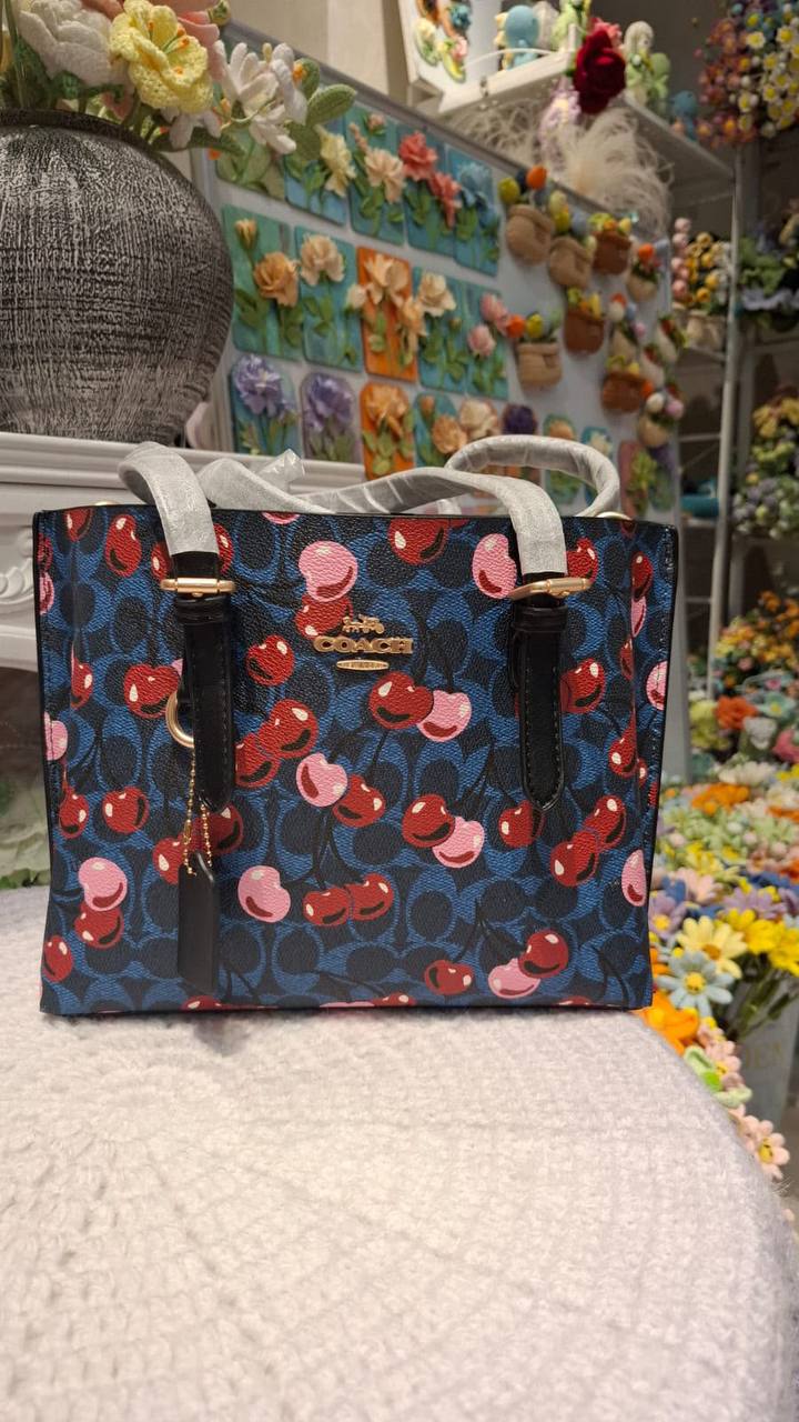 COACH MOLLY 25
25cm
110 dhs💓 

With box
🎁🎁🎁

Zain44
♥️♥️♥️