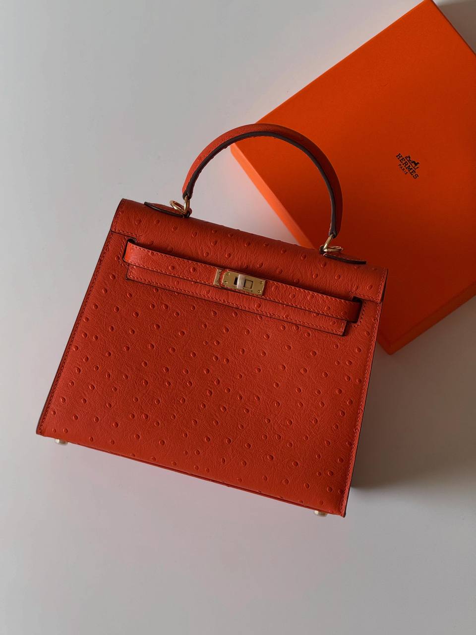 Hermes kelly ostrich 25cm💕master quality😍with box❤️
500 dhs🪙💕

Zain52
♥️♥️♥️