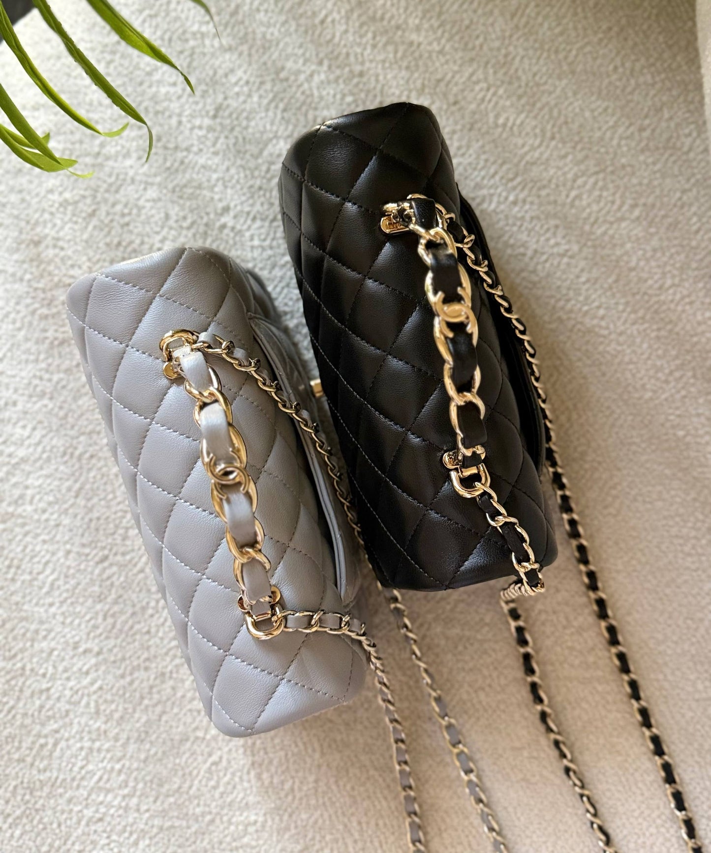 CHANEL
       
   🌿 😻😍 🍃
For Price 👇 WhatsApp✅
0568585901 
0507557372
0552275751 Owner Zain 👌

Zain246
♥️♥️♥️