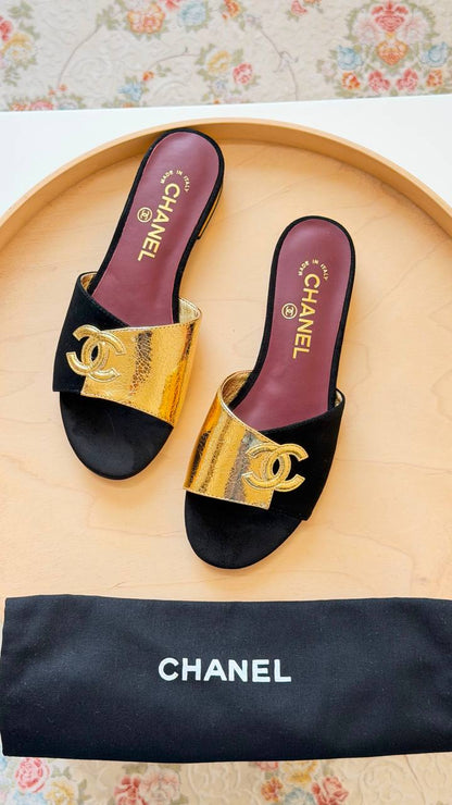 CHANEL
Master quality 
Size: 36 to 41
450 dhs💛

Zain318
♥️♥️