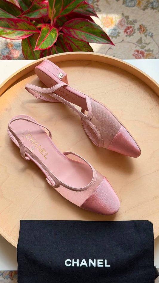 CHANEL
Master quality 
Size: 36 to 41
450 dhs🇦🇪🇦🇪

Zain318
♥️♥️♥️