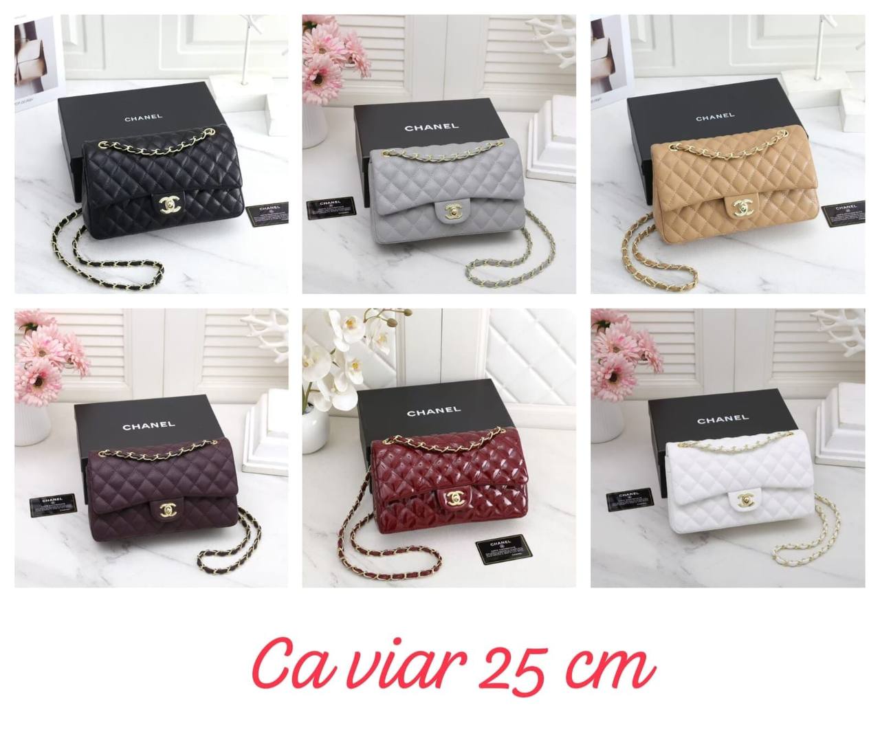 Chanel
with box
110 dhs💓

Zain143
♥️♥️♥️